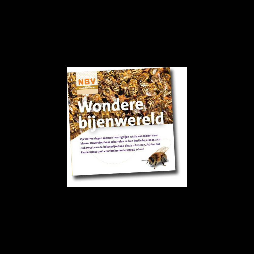 Wondere bijenwereld (40 stuks)