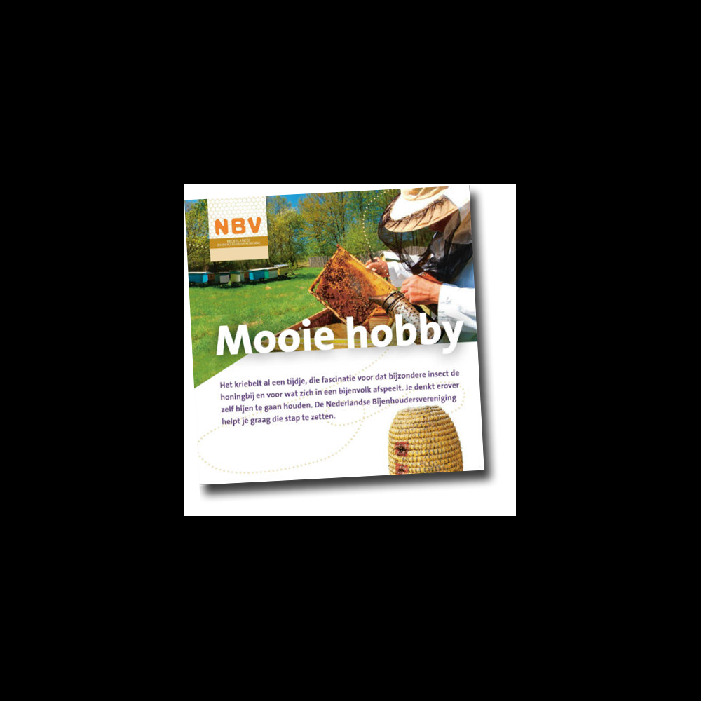 Mooie hobby (40 stuks)