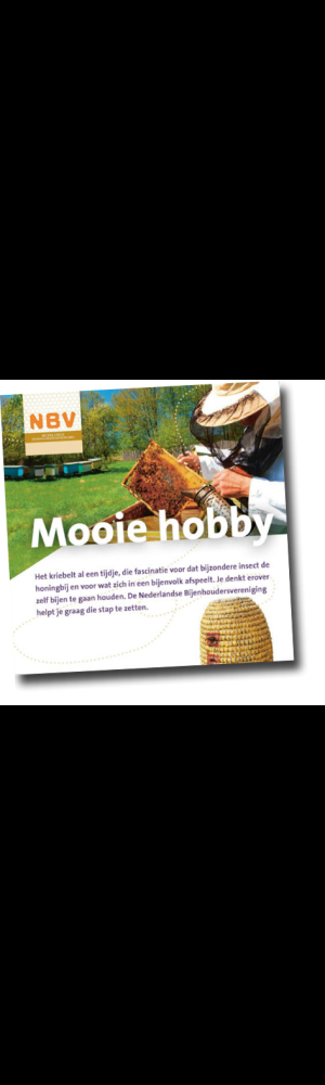 Mooie hobby (40 stuks)