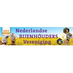Spandoek NBV