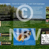 Tentoonstellingsposters