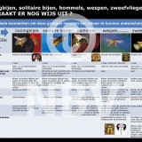 Tentoonstellingsposters