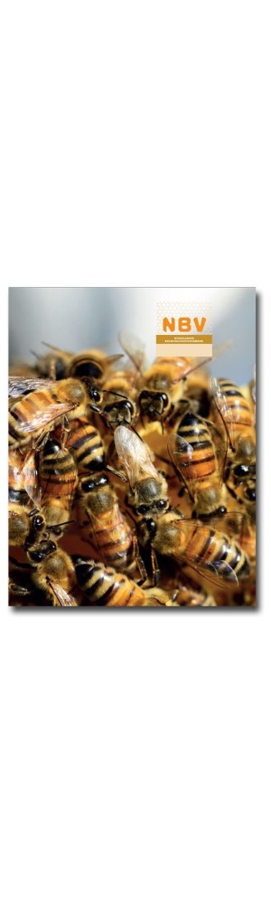 NBV Cursusmap