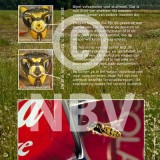 Tentoonstellingsposters