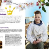 De Honingbij (40 stuks)