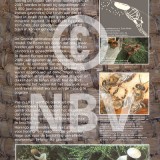 Tentoonstellingsposters