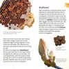 Honing, was en meer (40 stuks)
