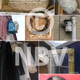 Tentoonstellingsposters