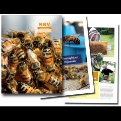Basiscursus Imkeren: compleet - versie 2023