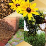 Een zwerm van bijen (40 stuks)