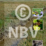 Tentoonstellingsposters