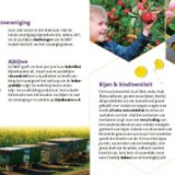 Mooie hobby (40 stuks)