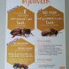 Posterset Honingbij