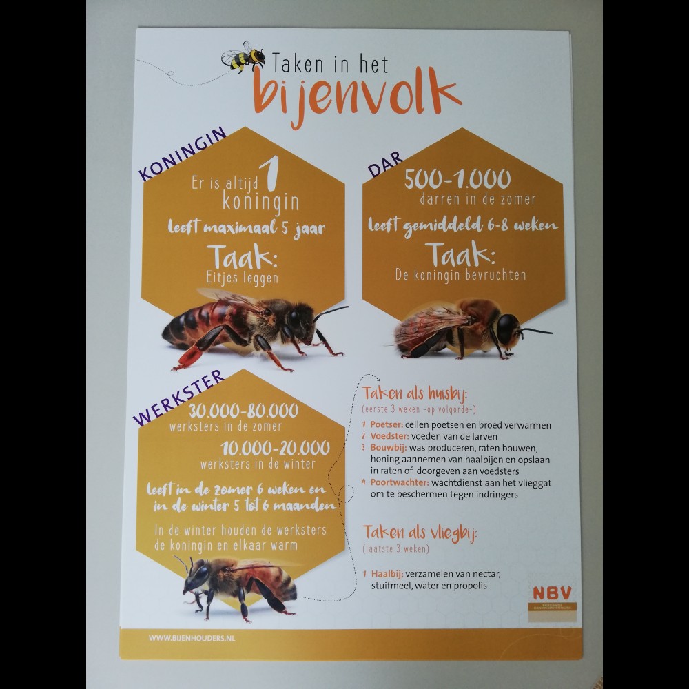 Posterset Honingbij - voorlopig niet te bestellen