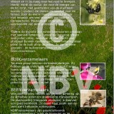 Tentoonstellingsposters