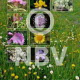 Tentoonstellingsposters