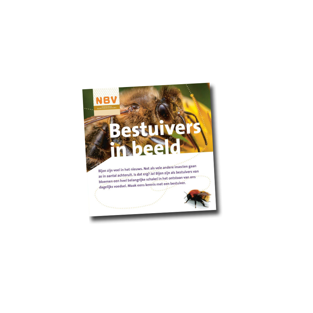 Bestuivers in beeld (40 stuks)