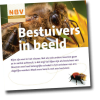 Bestuivers in beeld (40 stuks)