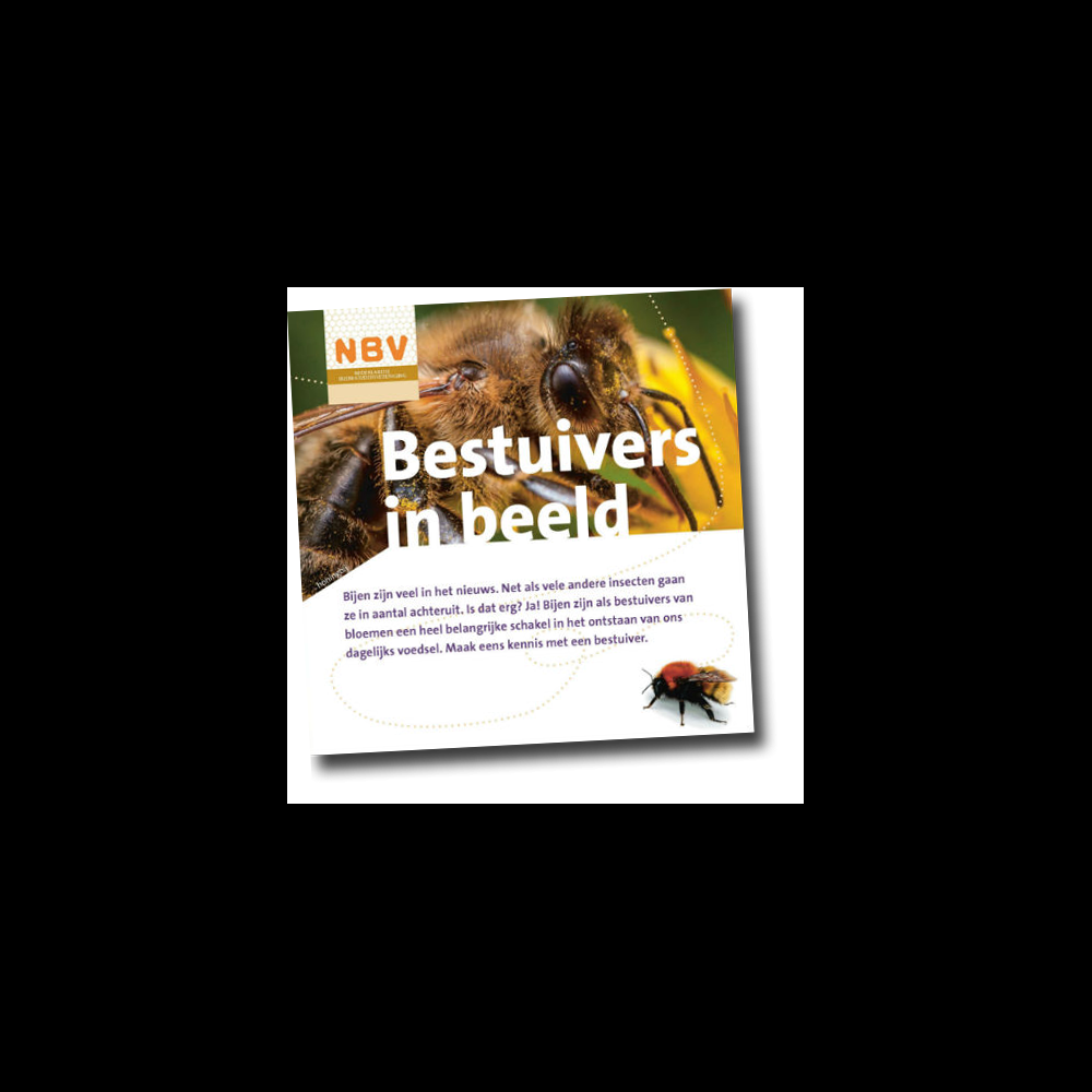 Bestuivers in beeld (40 stuks)