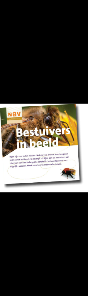 Bestuivers in beeld (40 stuks)