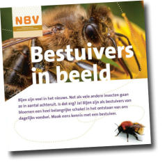 Bestuivers in beeld (40 stuks)
