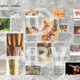 Tentoonstellingsposters