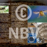 Tentoonstellingsposters