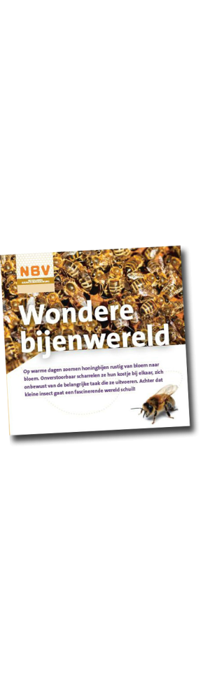 Wondere bijenwereld (40 stuks)