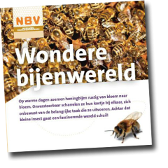 Wondere bijenwereld (40 stuks)